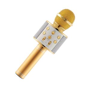 میکروفون + اسپیکر 858 طلایی