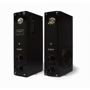 اسپیکر حرفه ای ونوس PV-SB500