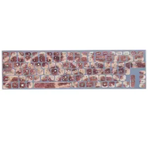 برچسب حروف فارسی فانتزی طرح چوب کد 410